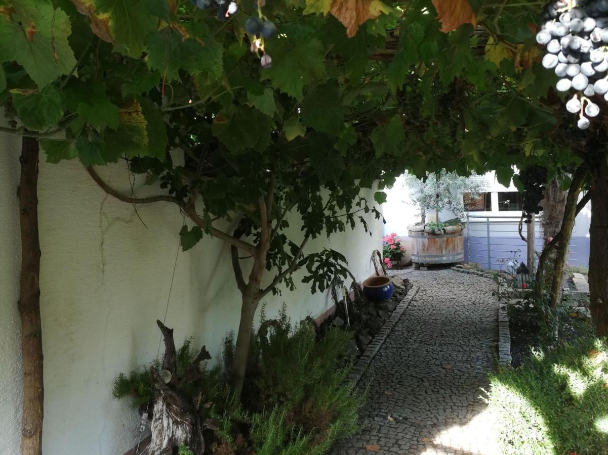 Haus Bienen Acomodação com café da manhã Ihringen Exterior foto